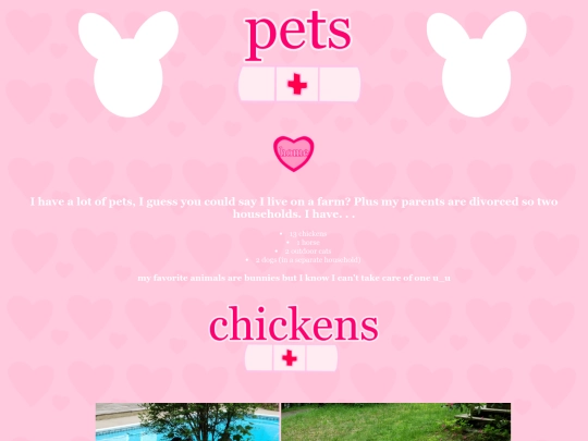 pets screenshot