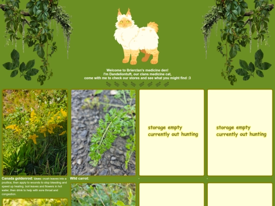 medicineden screenshot