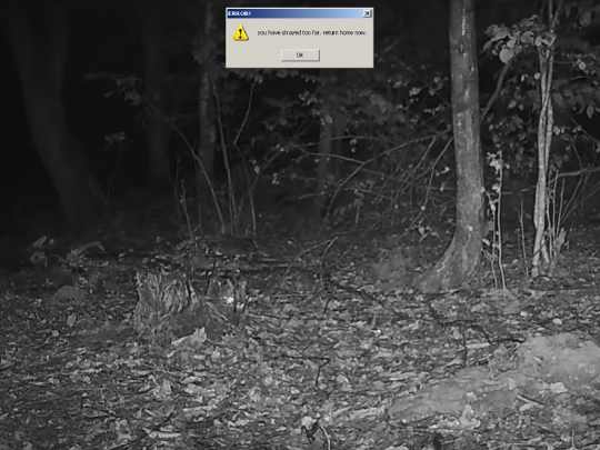 iframes/userboxes screenshot
