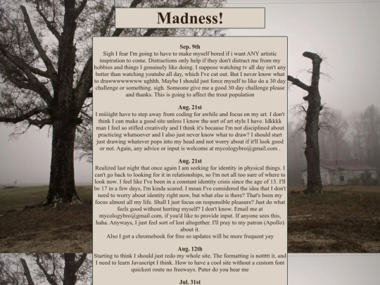 Blog screenshot