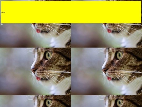 practica.6./practica6 screenshot