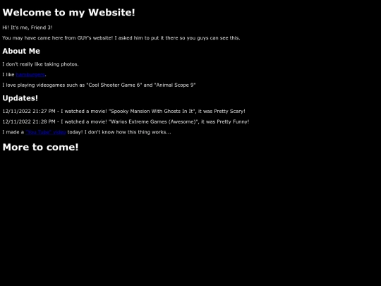 Friend3s_Site screenshot