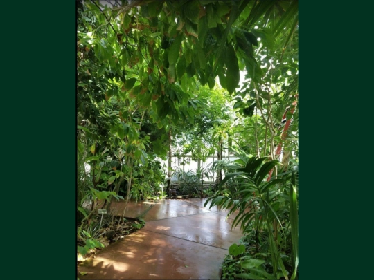 subtropicore screenshot