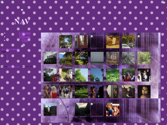 test/digicam/1 screenshot