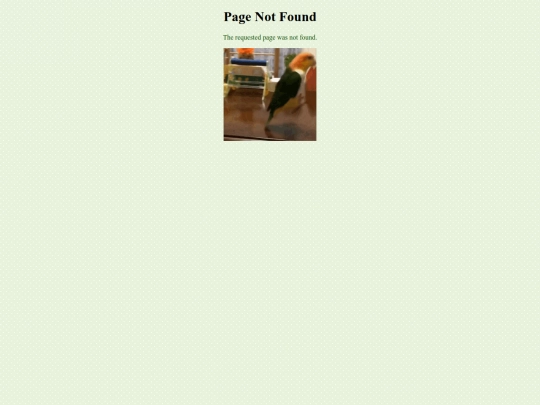 not_found screenshot