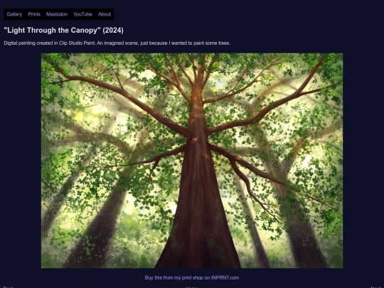 2024-light-through-canopy screenshot