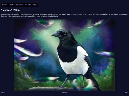 2025-magpie screenshot