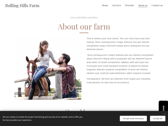 about-us screenshot