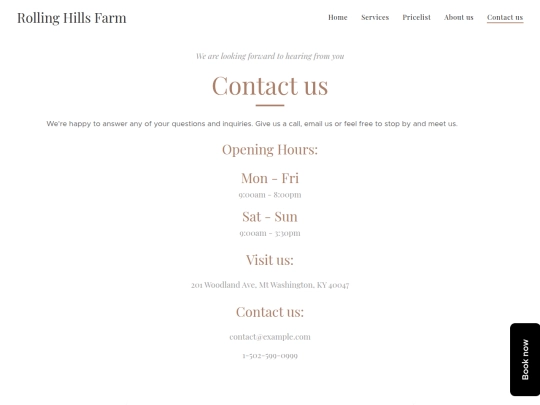 contact-us screenshot