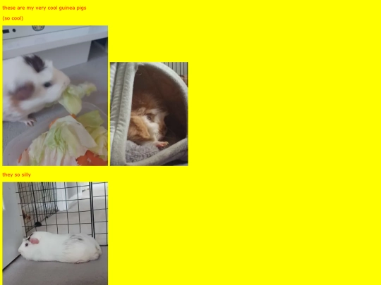 guinea_pigs screenshot