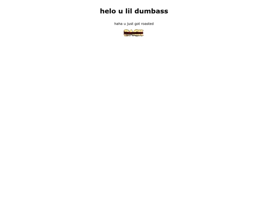 html_and_stuff/ok_dude_stop screenshot