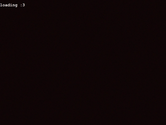 loading screenshot