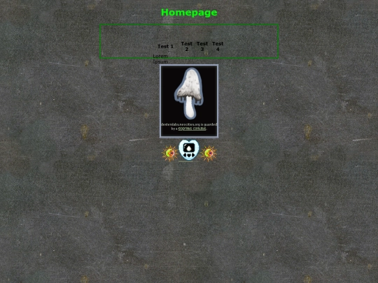 home screenshot
