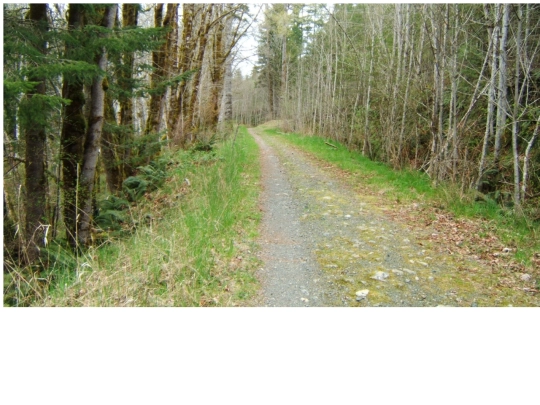 test screenshot