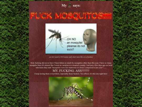 hootaugust2025 screenshot