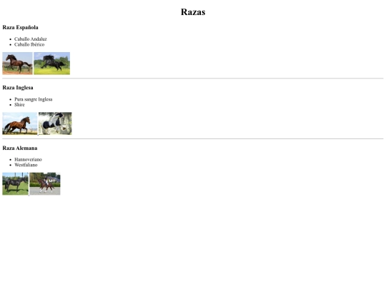 caballos/Razasdecaballos screenshot