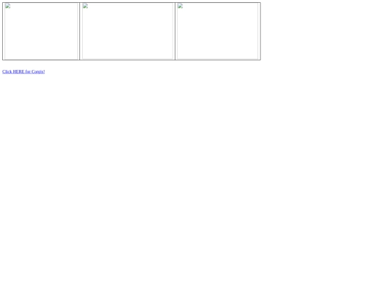 penguins site screenshot