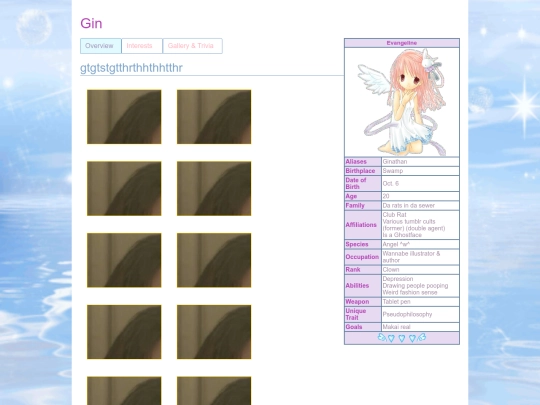 wiki/ginGallery screenshot