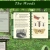 moss-and-bugs.neocities.org avatar