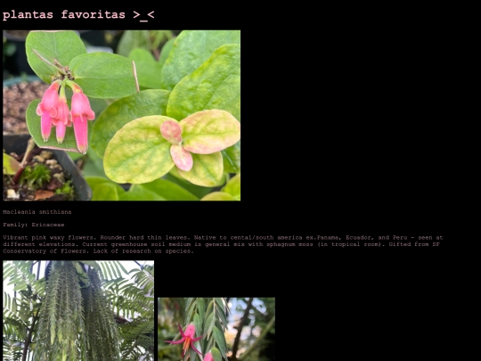 plantasfavoritas screenshot
