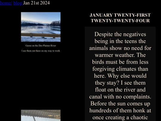 blog/entries/Jan_21_2024/entry screenshot