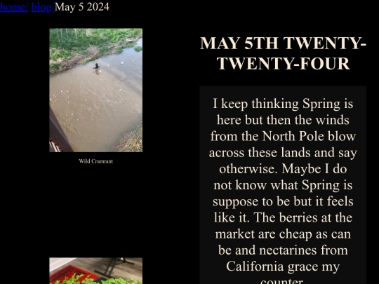 blog/entries/May_5_2024/entry screenshot