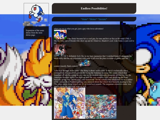shrines/sonic screenshot