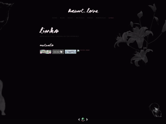 links screenshot