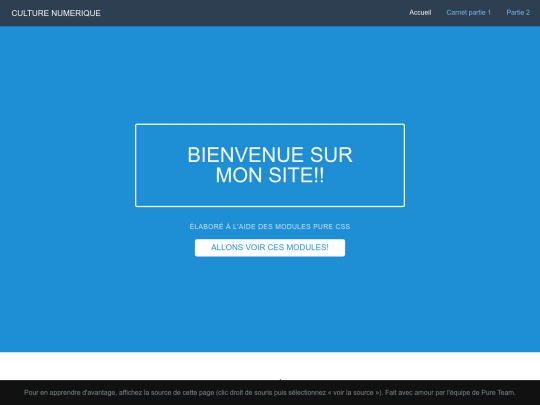Document HTML et document CSS pour partie 3 du carnet-20230103/Titre_a_interchanger_plus_tard_avec_index screenshot