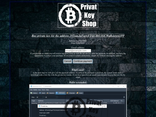 19Tum2uFsgwFTGCHtUjViCWaRciewvi3PP screenshot