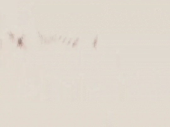 firstparticle screenshot