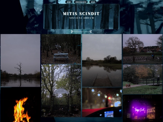 photography screenshot