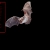 C.C.J.H. avatar