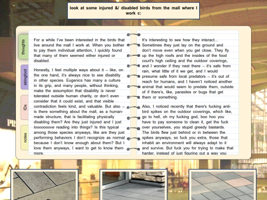 aviary/mall screenshot
