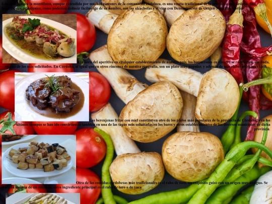 proyecto final/pagina4 screenshot