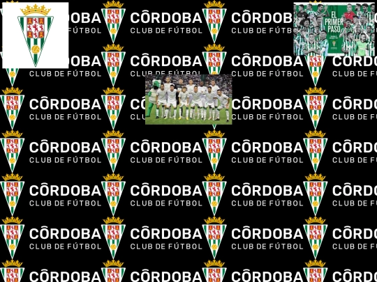 proyecto final/pagina5 screenshot