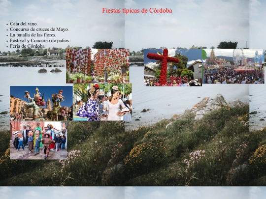 proyecto final/pagina6 screenshot