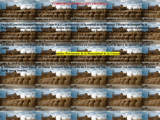 proyecto final/pgina2 screenshot