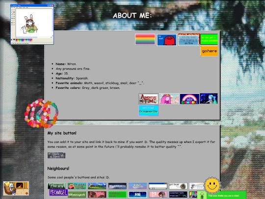 about-page screenshot