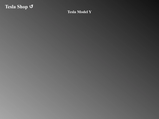 Tesla_model Y screenshot
