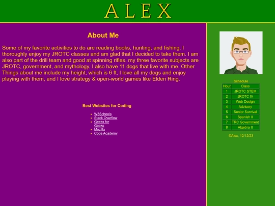 Web Design screenshot