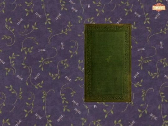 flipbook/filp_book screenshot