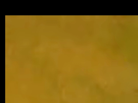 hatcat screenshot