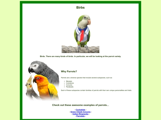 birbs screenshot