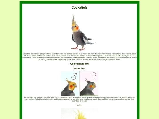 cockatiels screenshot