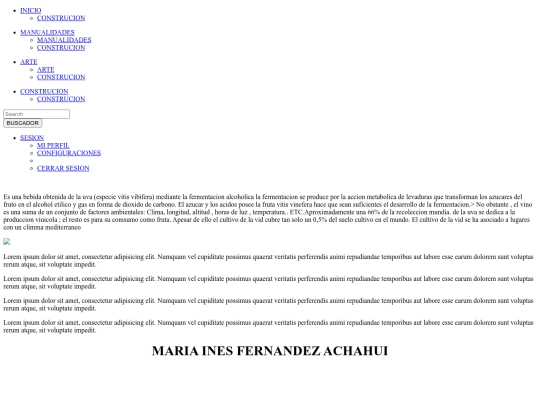 css screenshot
