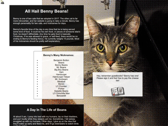 ben screenshot