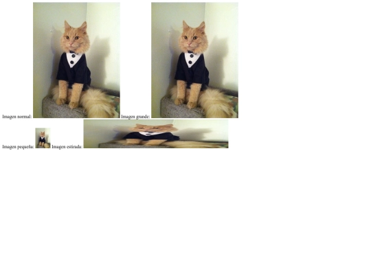 EJERCICIS_HTML/20-Ejemplo screenshot