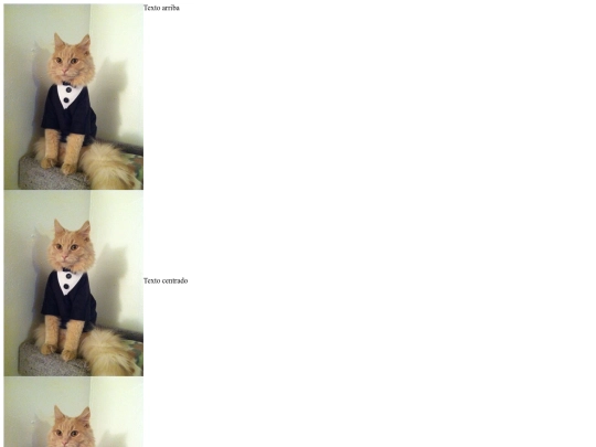 EJERCICIS_HTML/23-Ejemplo screenshot