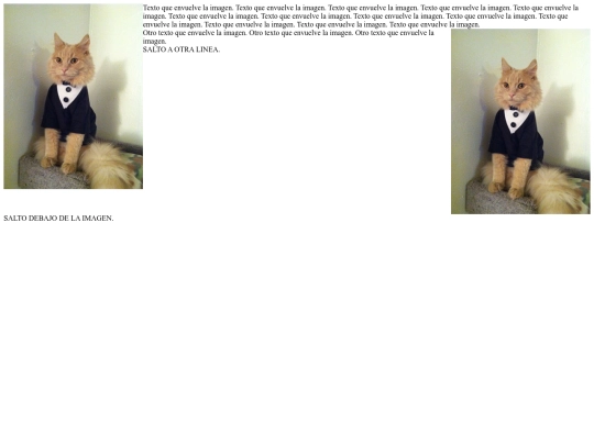 EJERCICIS_HTML/24-Ejemplo screenshot